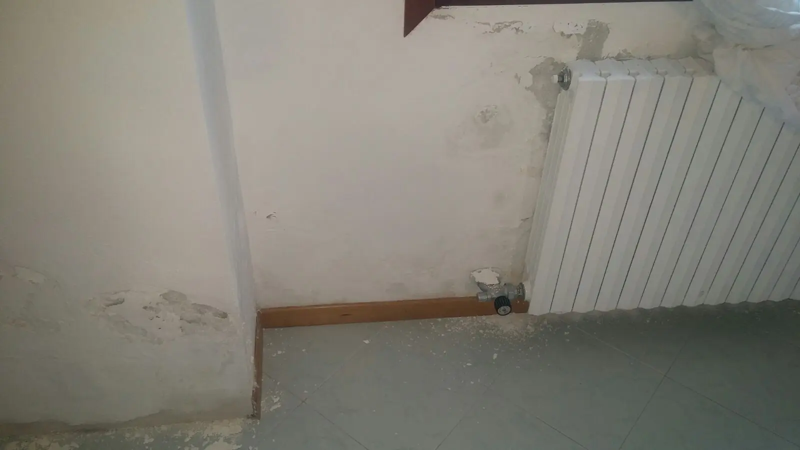 Immagine selezionata